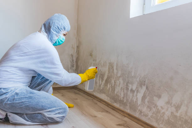 Hvac And Air Duct Mold Remediation inspection of HVAC system in Salem